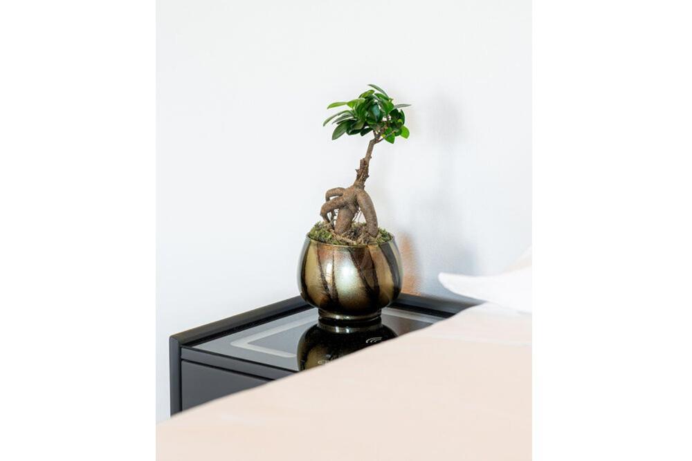 Bes Residence Bergamo Polaresco Luaran gambar